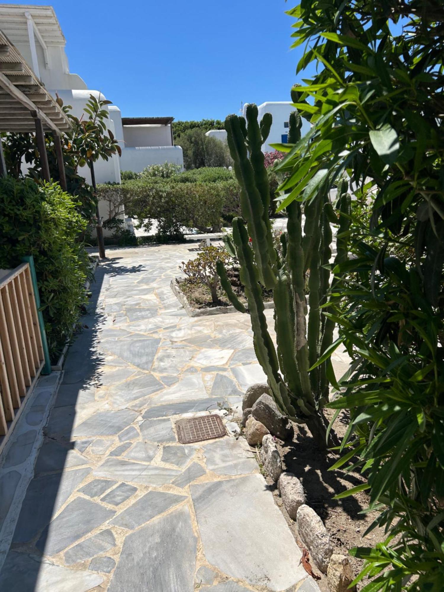 Luxury House With Swimming Pool In Ornos Mykonos别墅 外观 照片